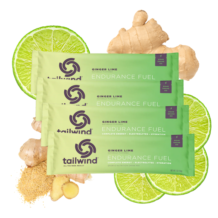 Flavour_4 Pack Ginger Lime Endurance Fuel